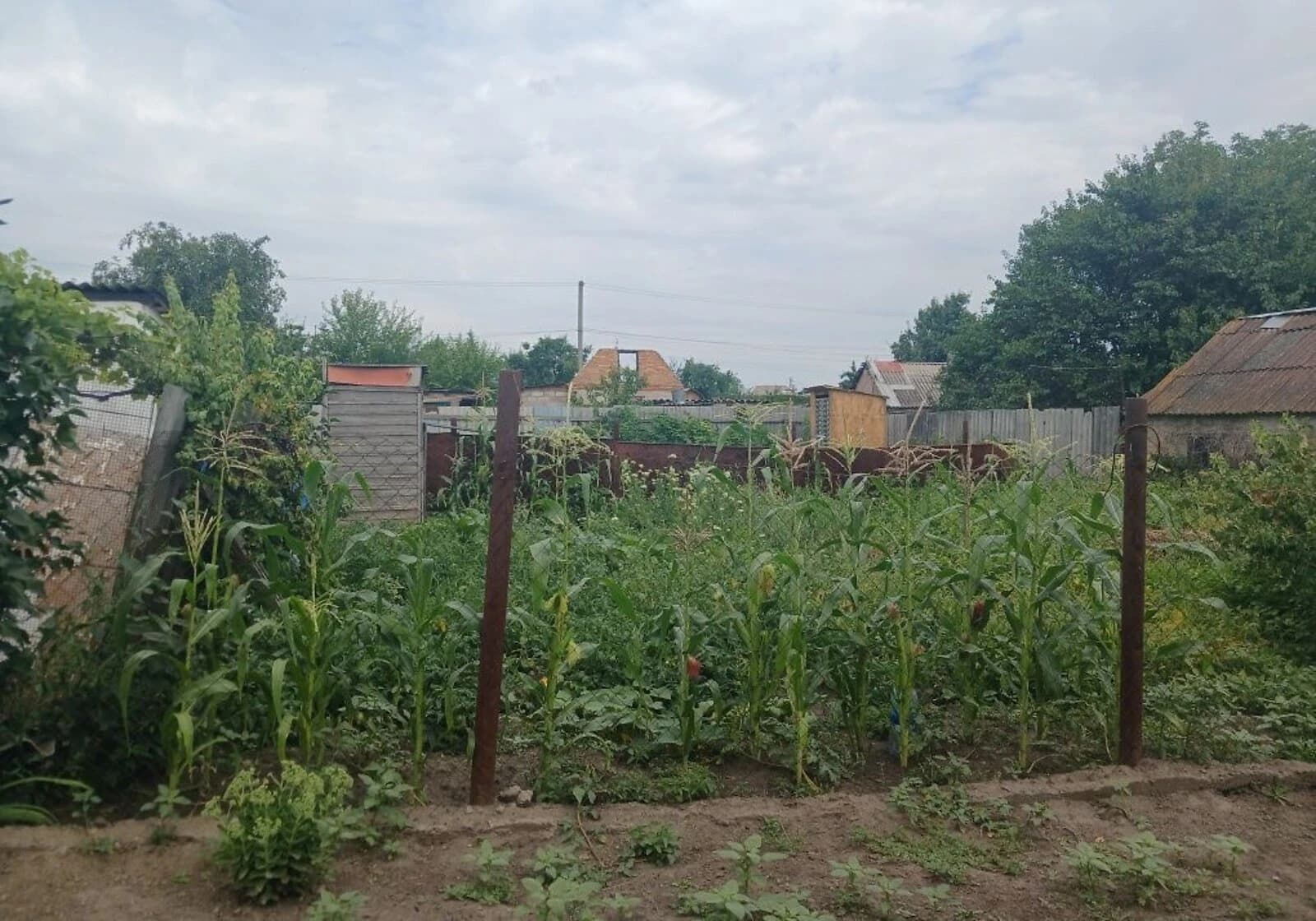 Частина будинку, Синельникове: 3 кімнати, газове опалення - фото 3