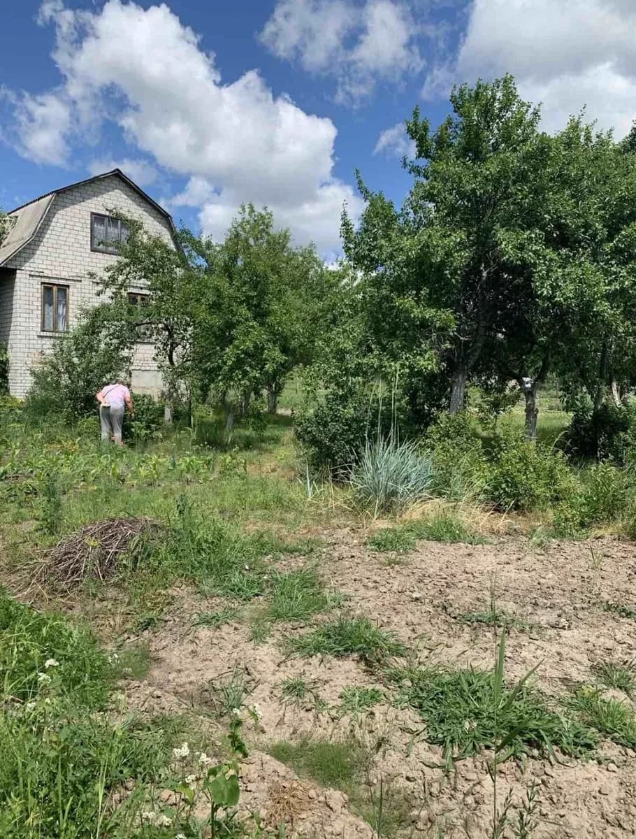 Дача, Березівка: водойма, огороджена ділянка - фото 2