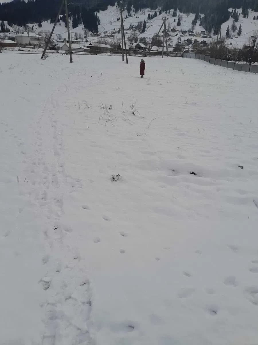Ділянка 14 соток, Верховина: під будівництво, асфальтований під’їзд - фото 4