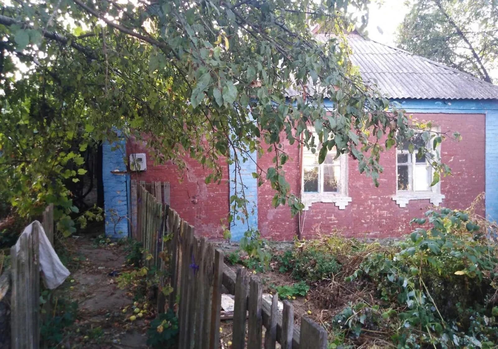 Будинок, Київський: город і сад, свердловина - фото 5