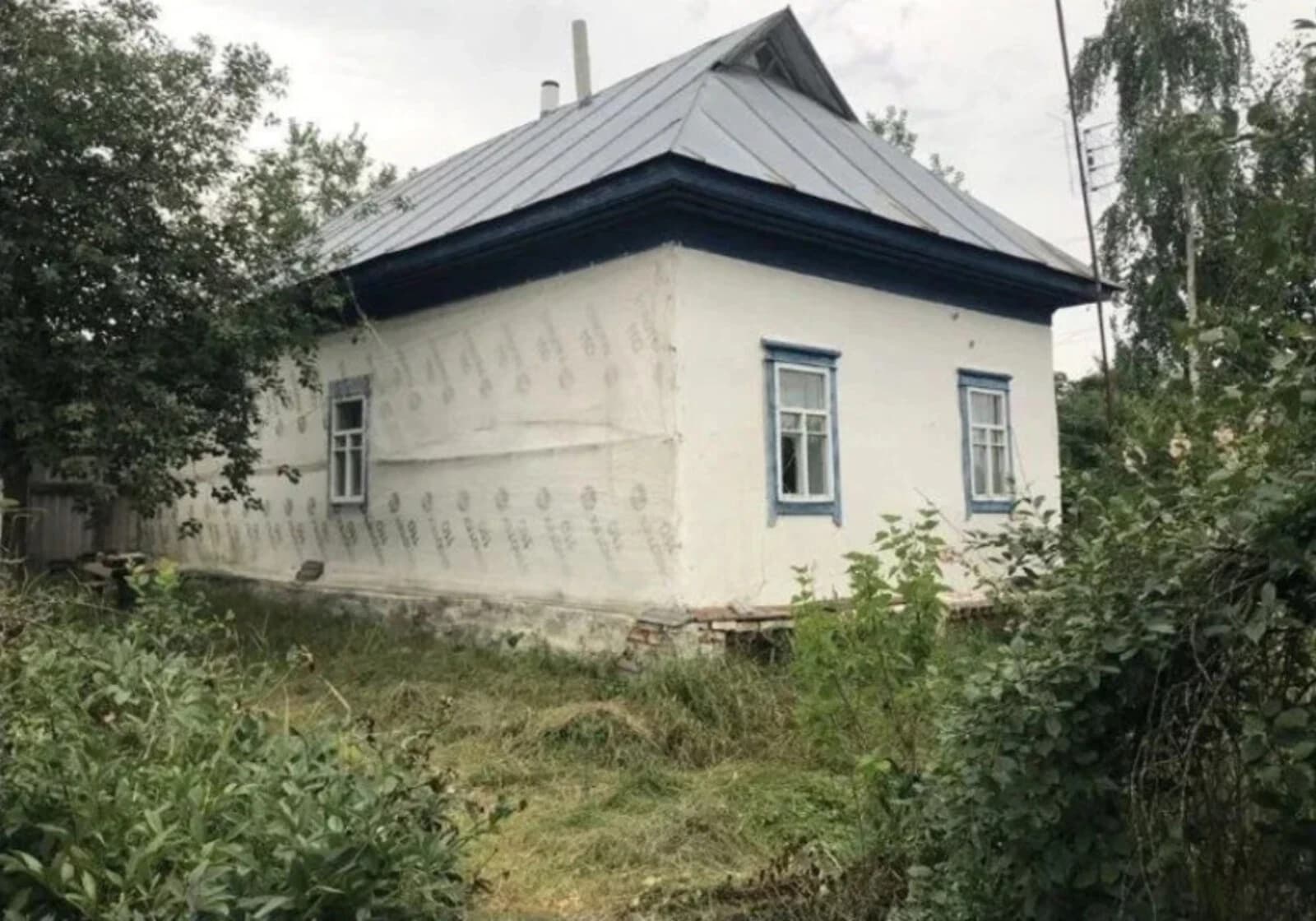 Будинок, Стольне: криниця, господарська будівля