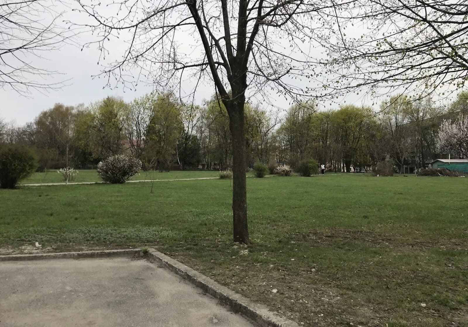 Ділянка 15 соток, Дослідне: під житлову забудову, торг - фото 2