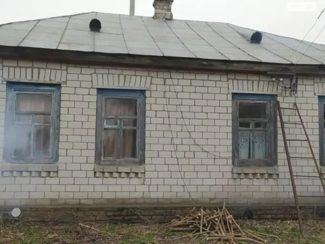 Будинок, Булахів: пічне й газове опалення, гараж і сад - фото 1