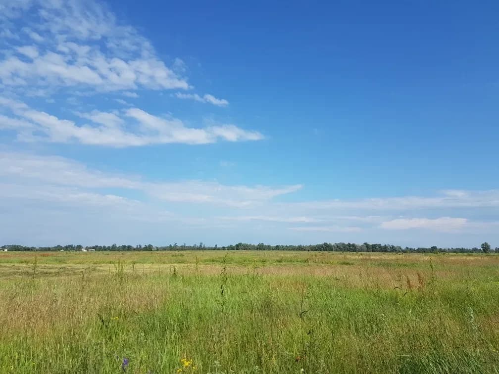 Ділянка 215 соток, Вища Дубечня: свердловина 30 м, під теплиці - фото 3