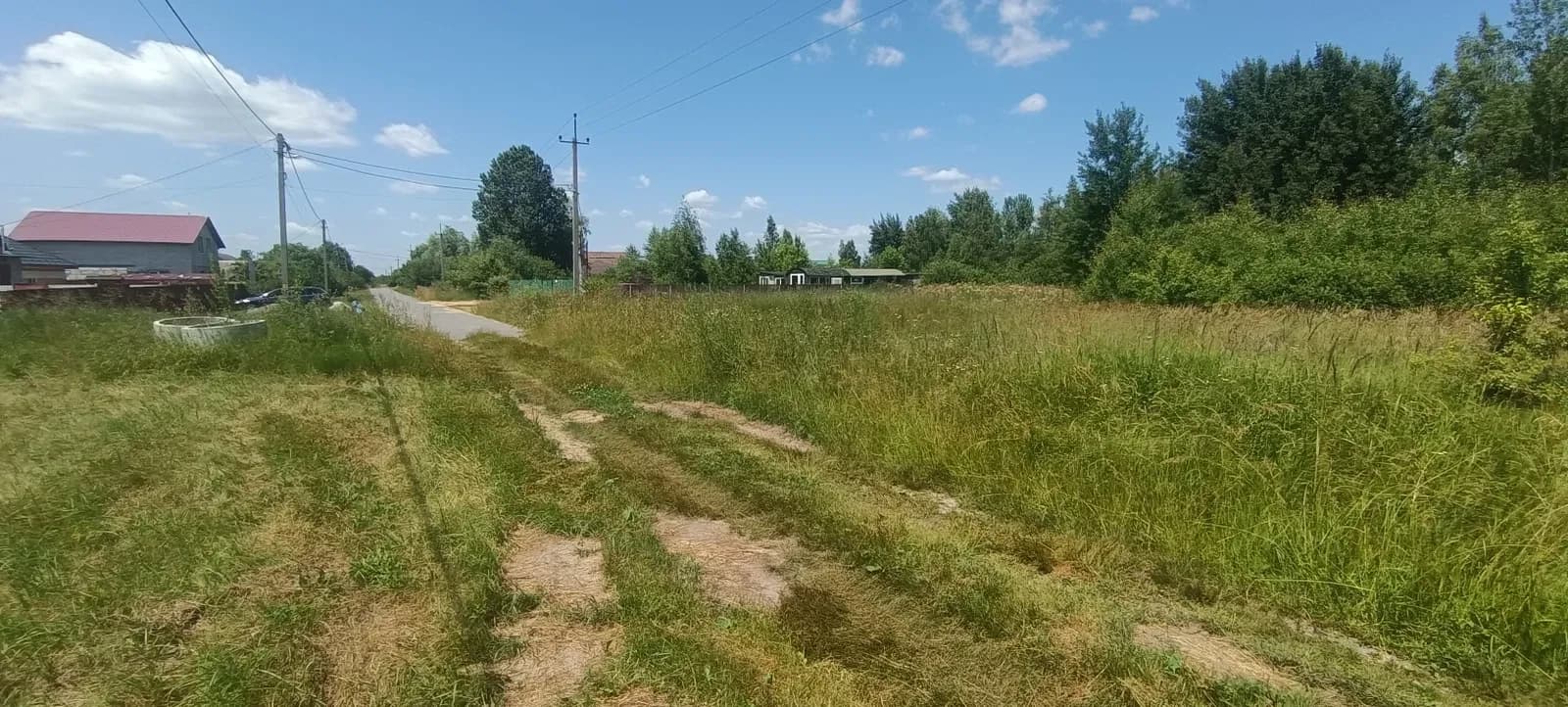 Ділянка 12 соток, Бабинці: під забудову, березовий сад - фото 3