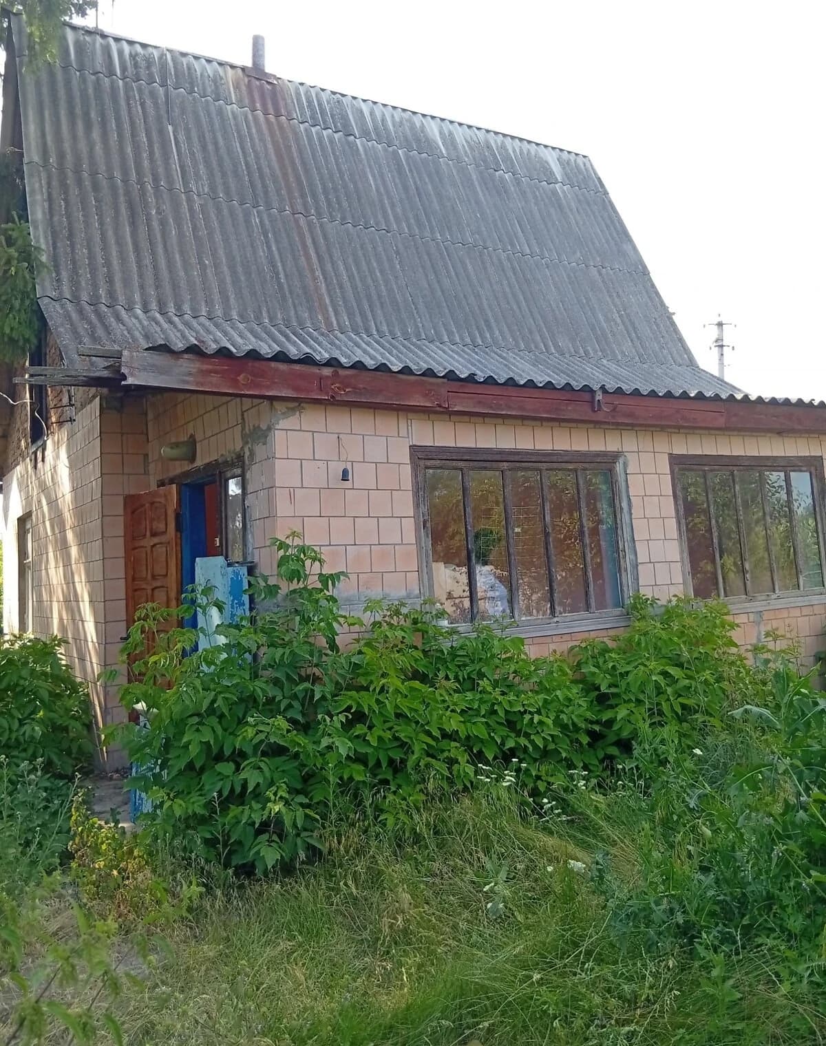 Будинок, Нова Гребля (Жашків): ділянка 46 м², потребує ремонту - фото 5