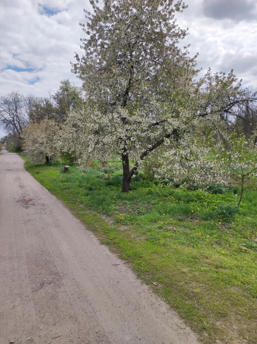 Ділянка 66 соток, Подільський: житлова й суспільна забудова - фото 2
