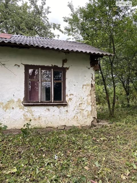 Дача, Грабовець: цегляні стіни, централізоване опалення, сад - фото 3