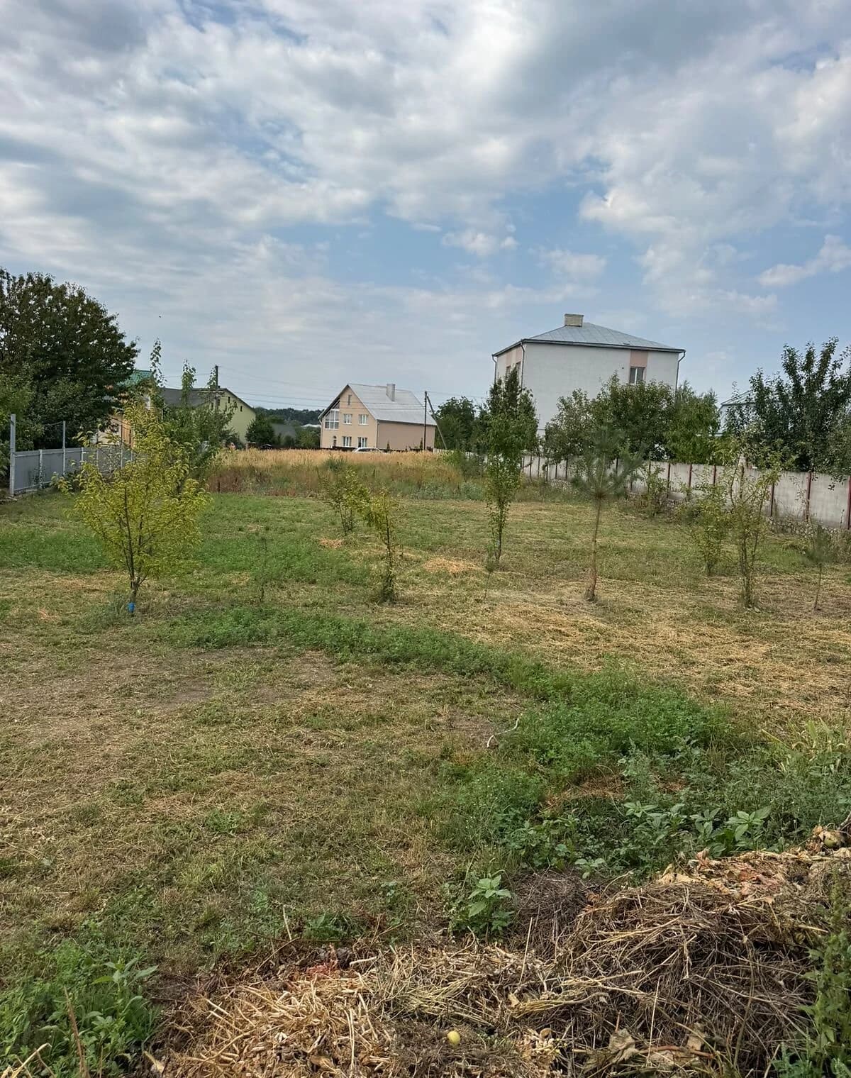 Ділянка 15 соток, Збараж: житлова забудова, чорнозем, газ - фото 5
