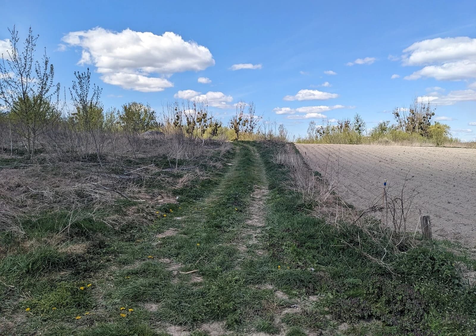 Ділянка 10 соток, Городок: природне озеро, під житлову забудову - фото 3