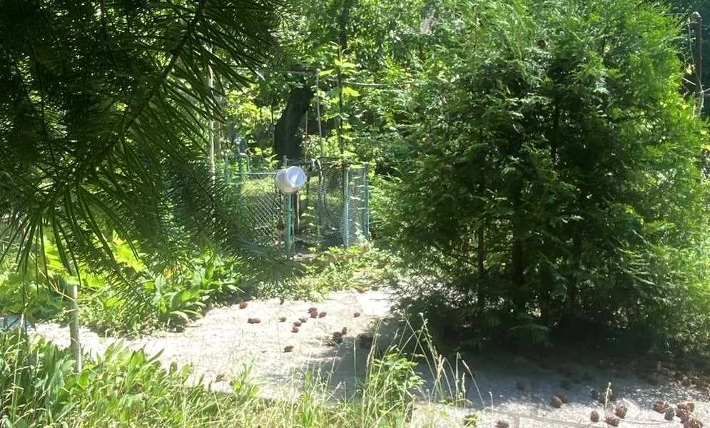 Дача, Глеваха: газ, свердловина, приватизована ділянка - фото 4