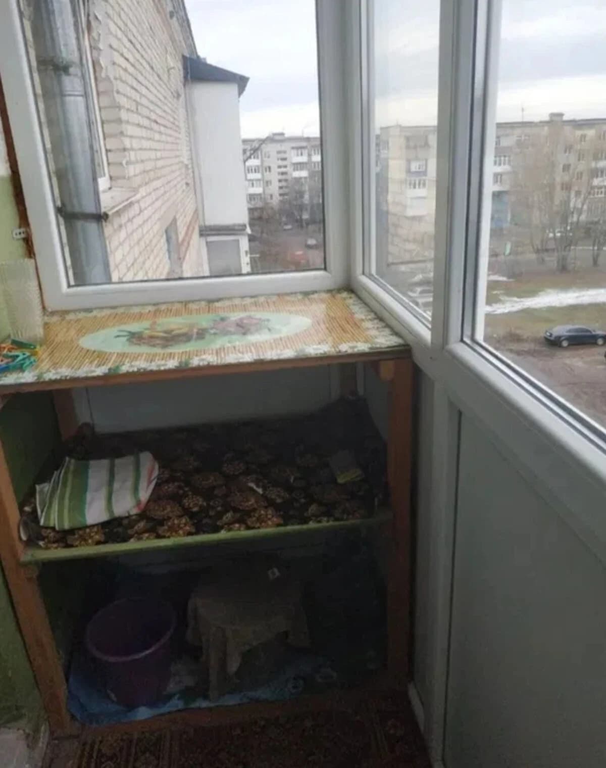 1-кімнатна квартира, вулиця Олександра Ступаченка: цегляні стіни, бойлер - фото 5