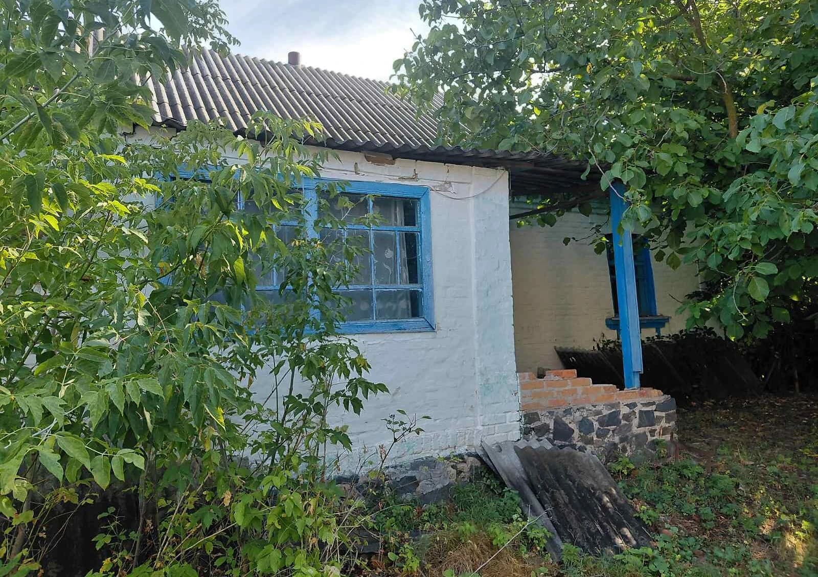 Будинок, Пединівка: 60 соток, 3 спальні, гараж