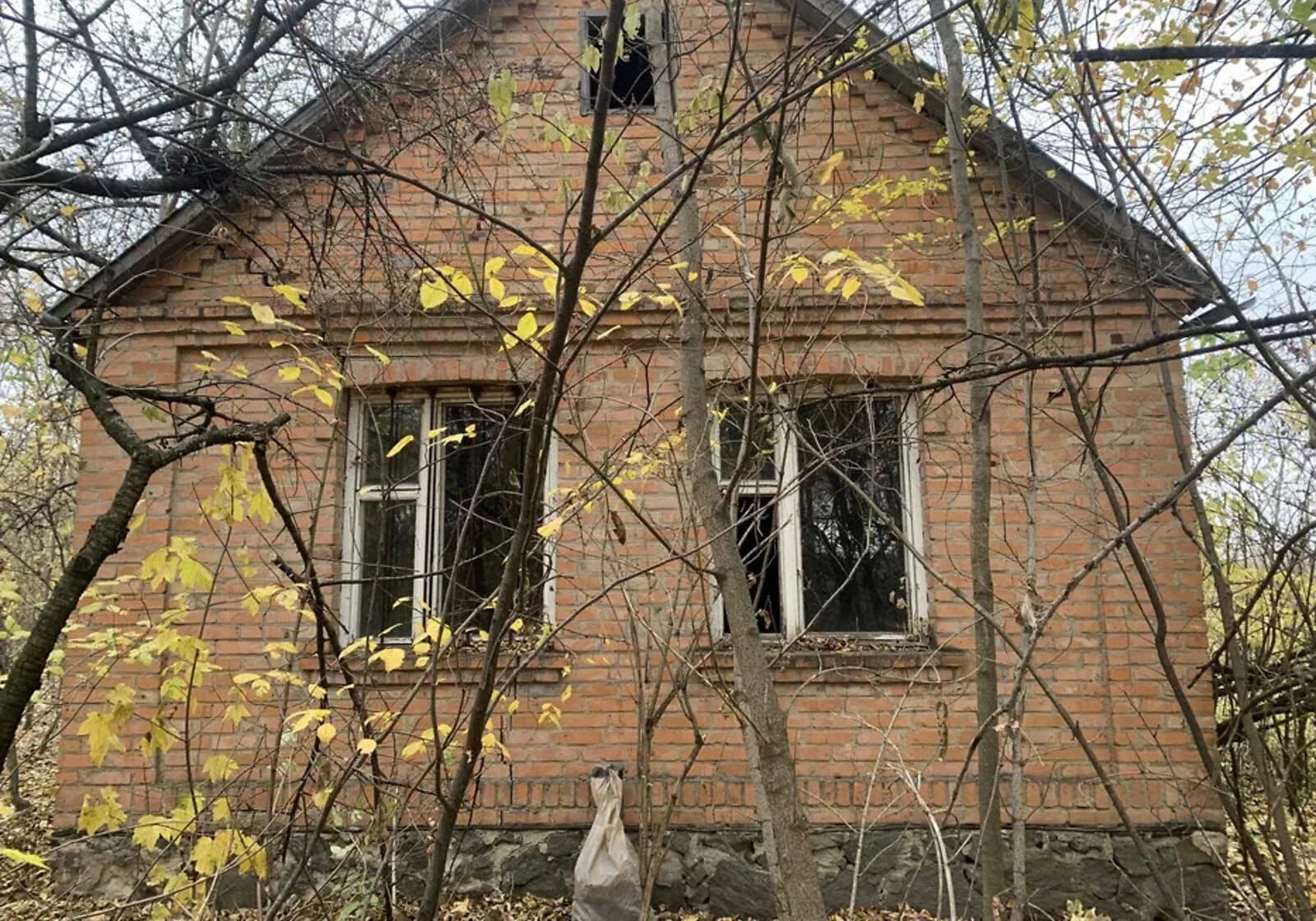 Будинок, Подолянці: город, цегляні стіни, шиферний дах