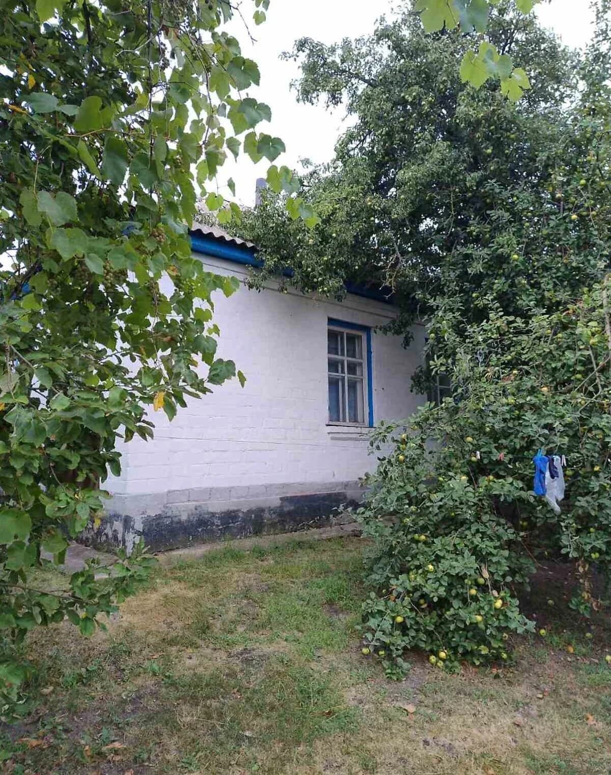 Будинок, Будище: 24.9 сотки, гараж, торг можливий - фото 5