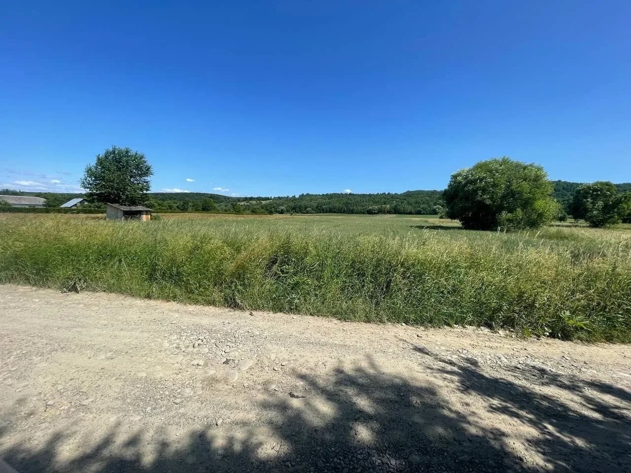Ділянка 68 соток, Пістинь: родюча земля, торг - фото 2