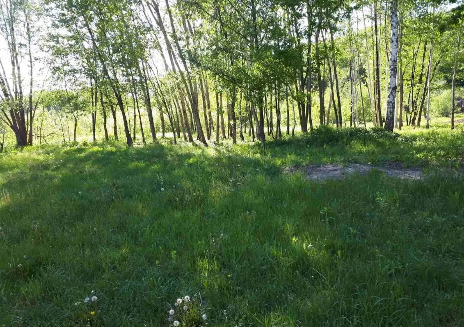 Ділянка 11 соток, Климентове: під житлову забудову, під гараж