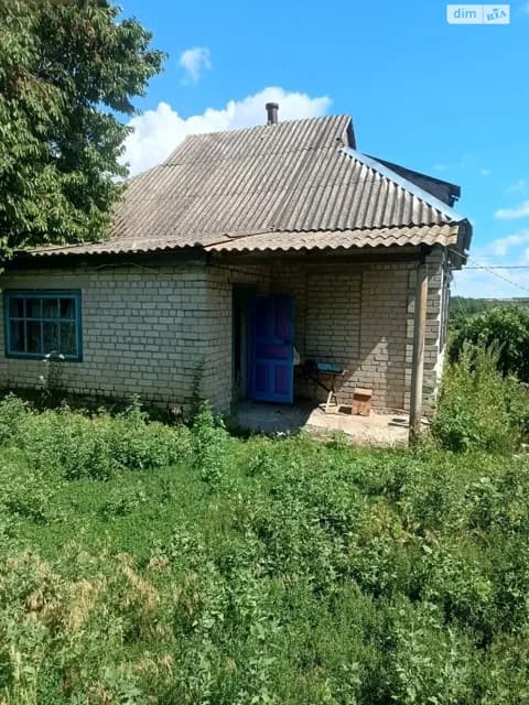 Будинок, Петрозагір’я: цегляні стіни, централізоване опалення - фото 2