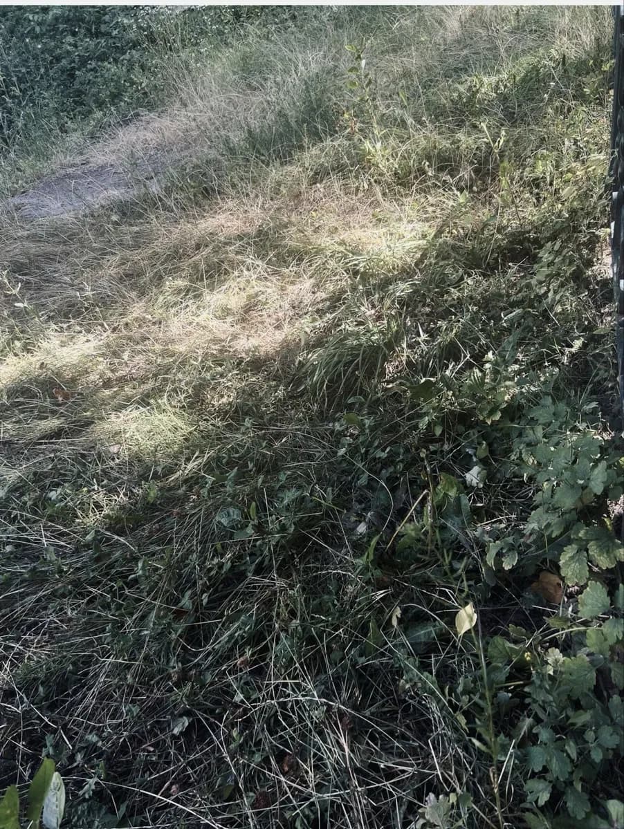 Ділянка 24.20 соток, Гудимівка: електрика, асфальтована дорога - фото 2