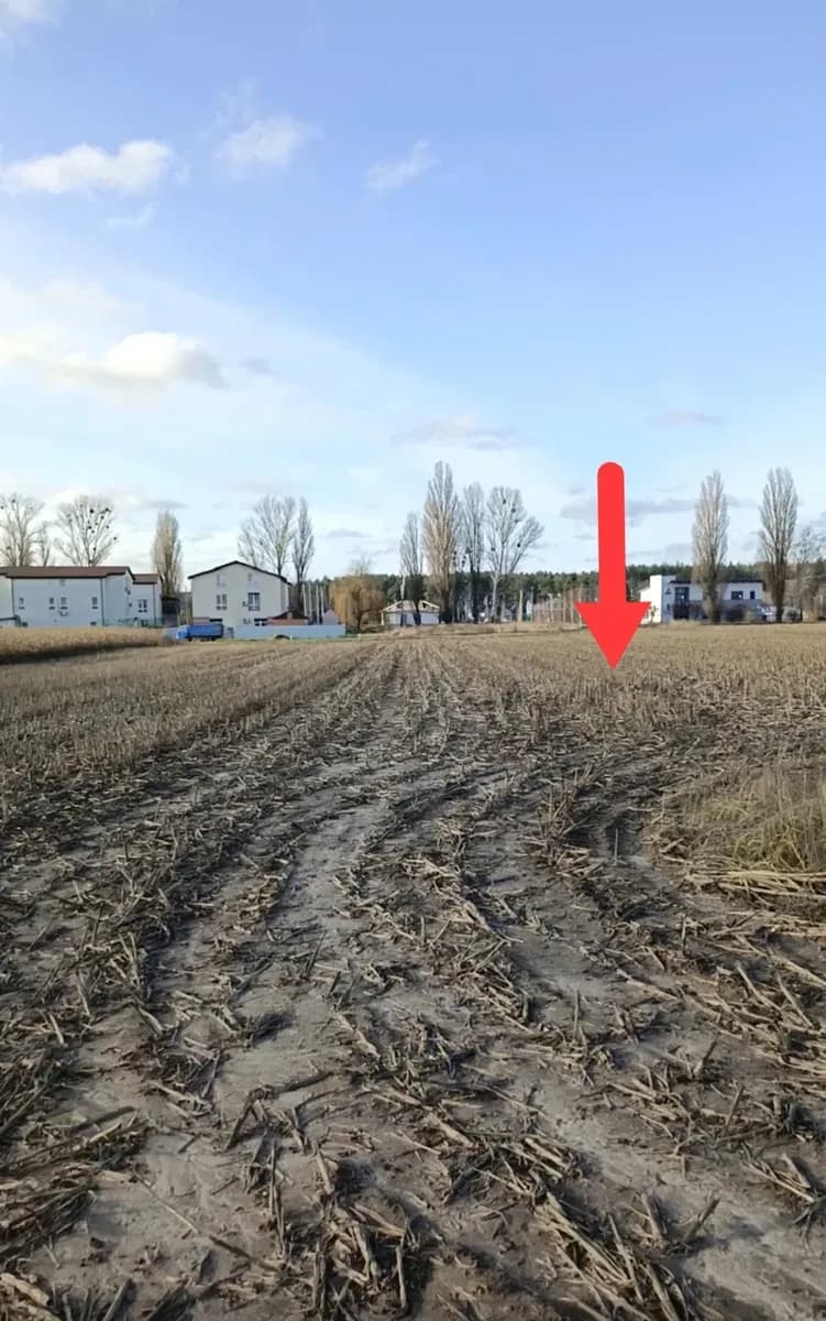 Ділянка 339 соток, Мала Олександрівка: будівництво, поділ, ліс і озеро - фото 4