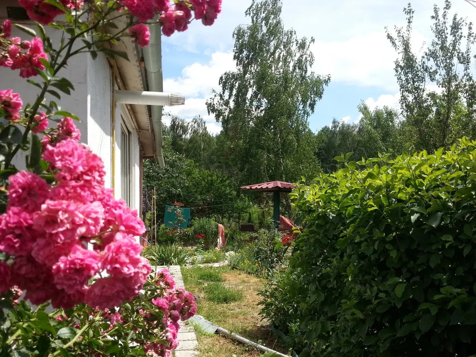 Студія, Глеваха: тепло від інвертора, для однієї особи - фото 4