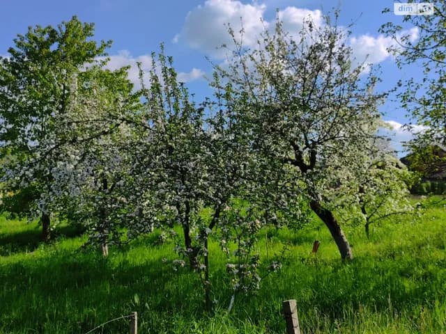 Будинок, Лисогірка (Летичів): 3 спальні, 50 соток, розстрочка - фото 5