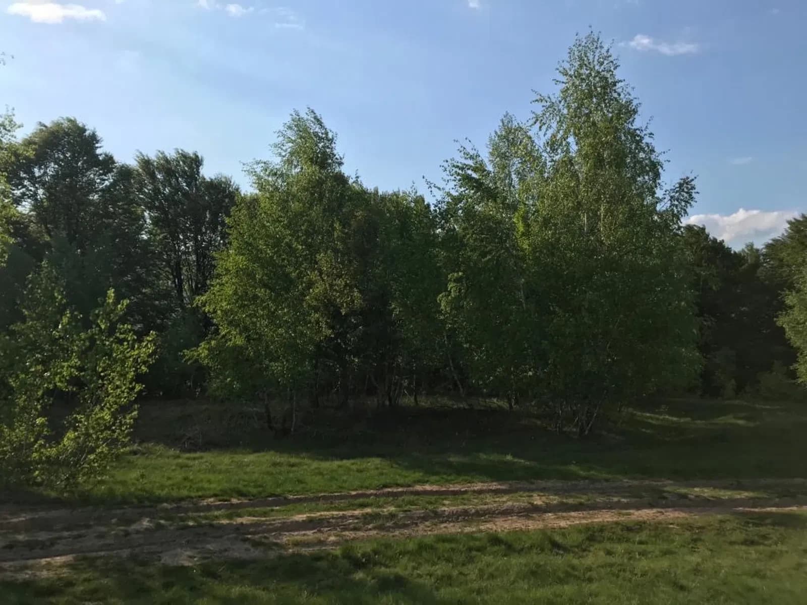 Ділянка 11 соток, Осій: під лісом, комунікації за 100 м - фото 5