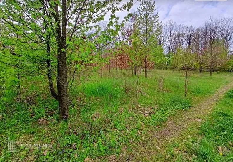 Ділянка 22.50 соток, Рівець: під житлову забудову, електрика та інтернет - фото 3