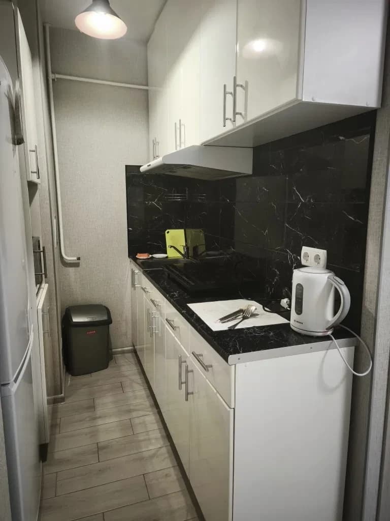 Студія, Кременчук: авторський ремонт, можна з тваринами - фото 3