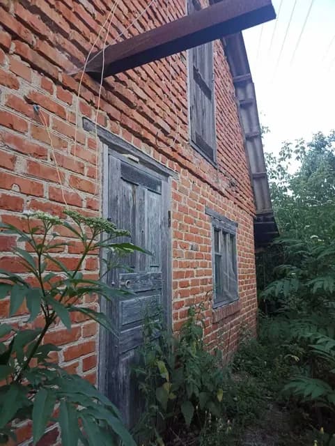 Ділянка 54 сотки, Моринці: літня кухня, фундамент під будинок - фото 2