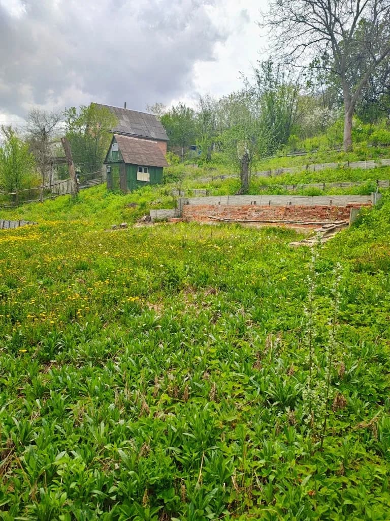Ділянка 8 соток, Нова Березівка: біля озера 10 метрів, світло - фото 5