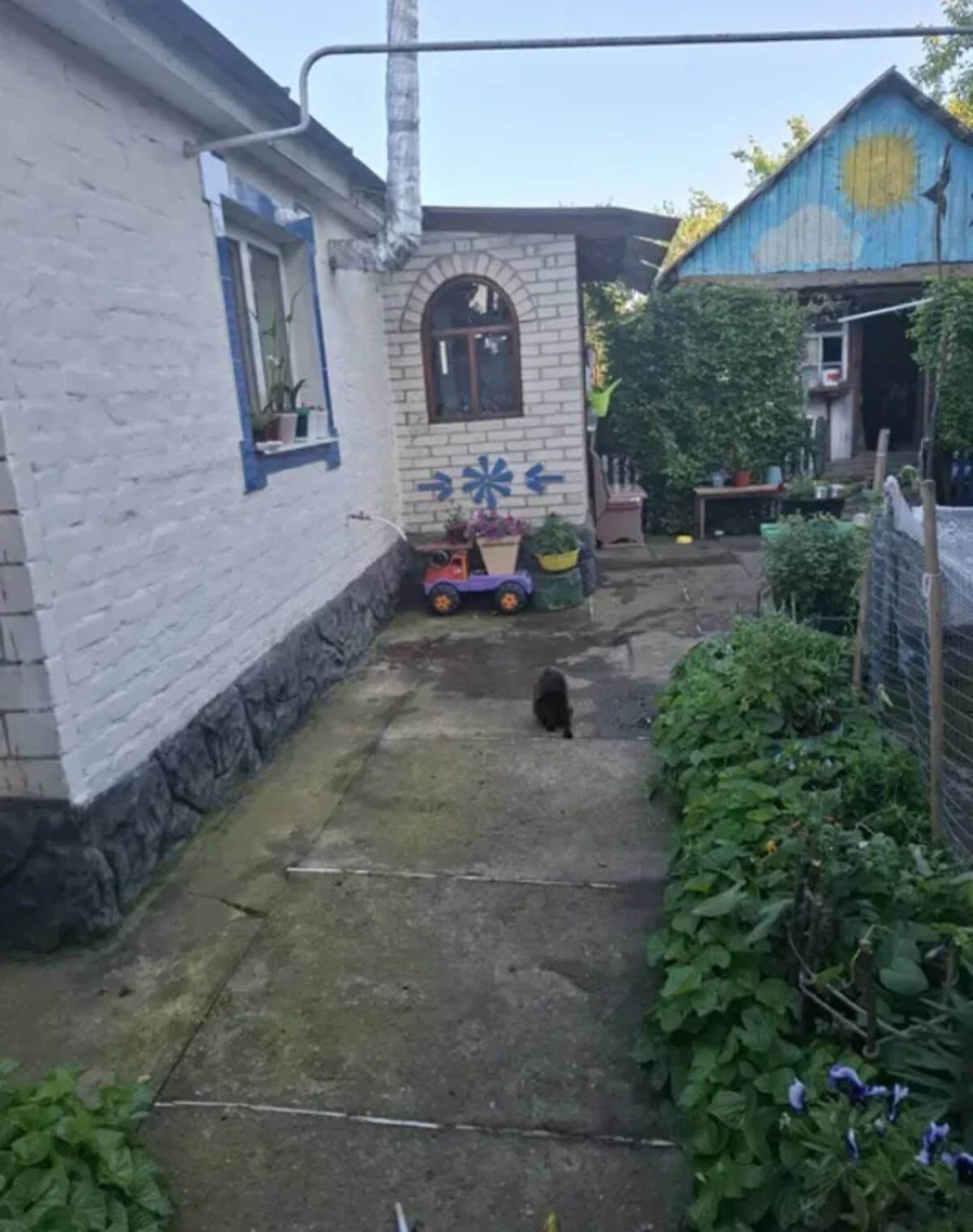 Будинок, Буринь: газове опалення, літня кухня, сад - фото 2