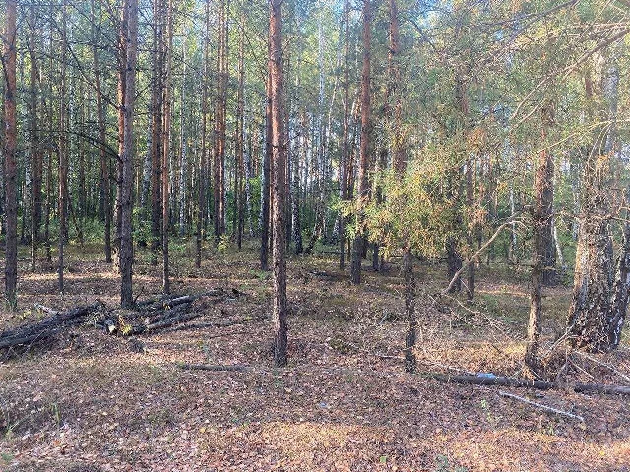 Ділянка 500 соток, Козин: у лісі, житлова забудова - фото 3