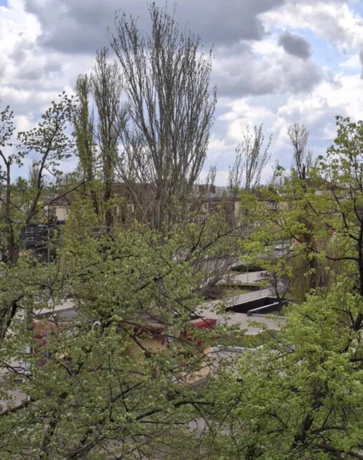 1-кімнатна квартира, Кривий Ріг: кухня-студія, балкон - фото 1