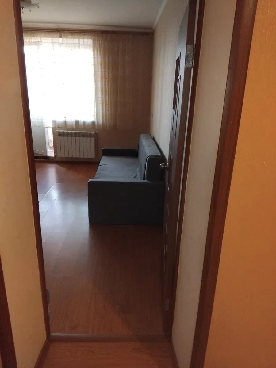 1-кімнатна квартира, Дарницький: два балкони, котик і песик - фото 5