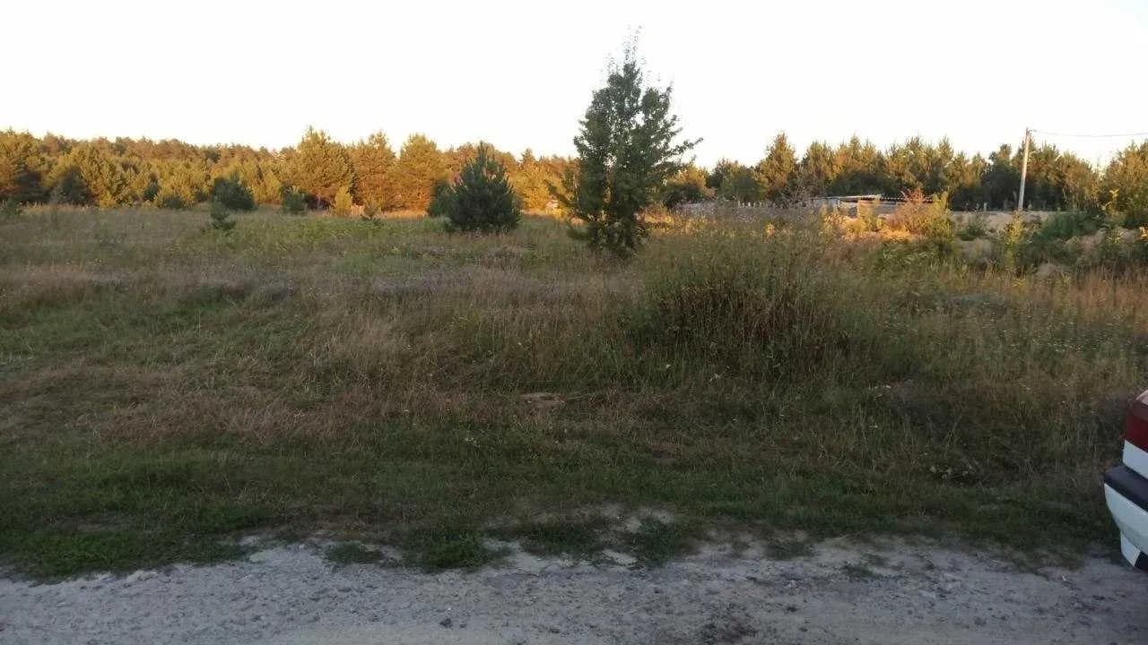 Ділянка 25 соток, Бобриця: електрика, біля хвойного лісу - фото 1