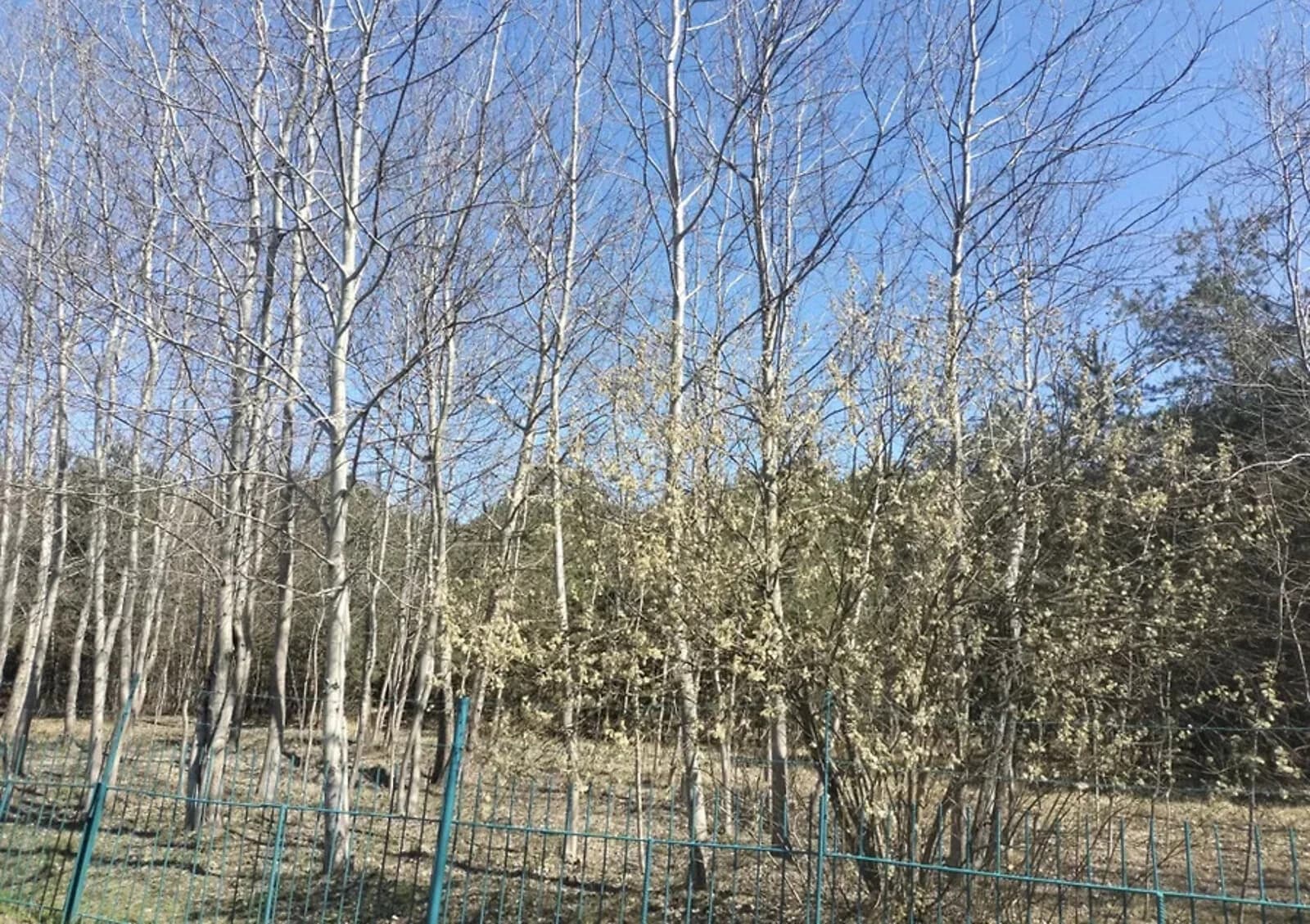 Будинок, Світловодськ: дача, 20 соток, гараж у дворі - фото 3