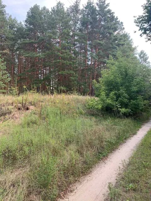 Ділянка 200 соток, Розсошинці: під забудову, радонові джерела