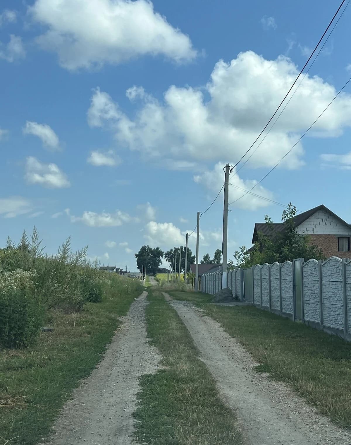 Ділянка 14.81 соток, Гречани дальні: сад, рівнинний рельєф, чорнозем - фото 3