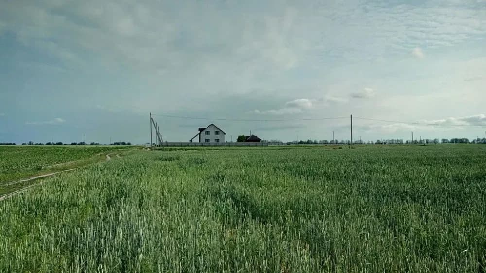 Ділянка 25 соток, Дударків: під забудову, електрика - фото 5
