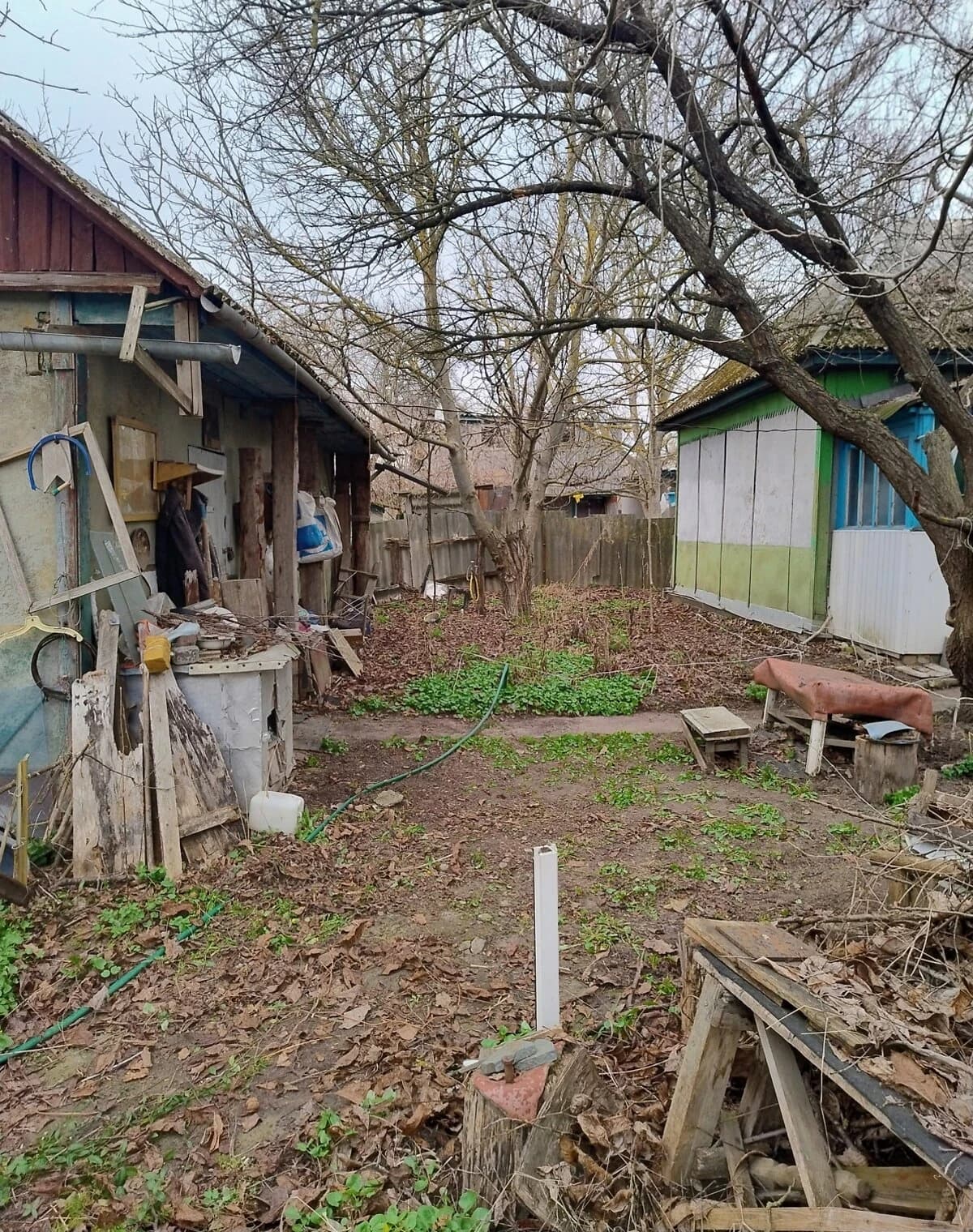 Дача, Володькова Дівиця: сад, город, погріб - фото 3