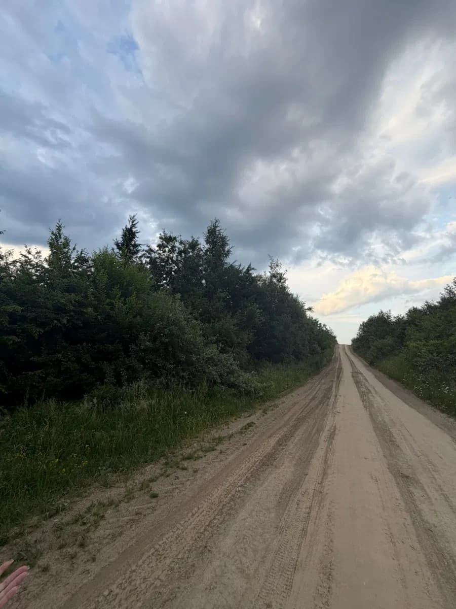 Ділянка 4 000 соток, Пнікут: ОСГ, дорога, торг - фото 5