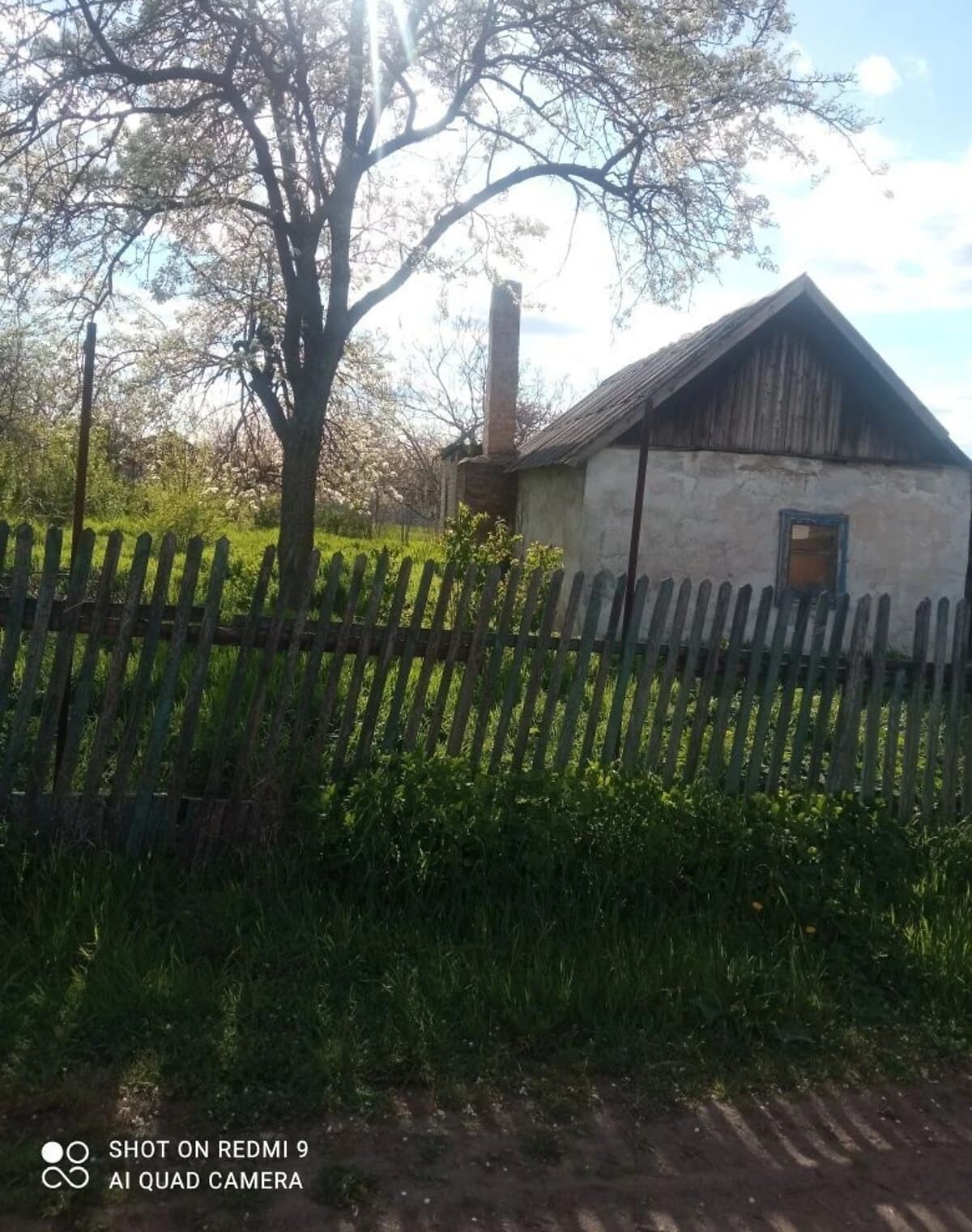 Будинок, Кривий Ріг: гараж із підвалом, літня кухня - фото 5