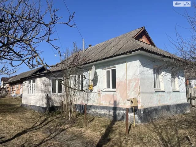 Будинок, Деражня: цегляні стіни, свердловина