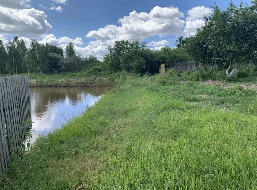 Дача, Березівка: водойма, огороджена ділянка - фото 4
