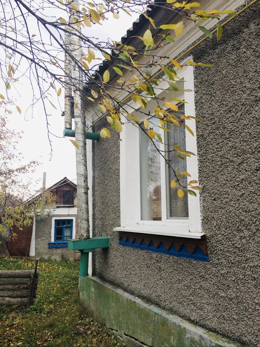 Будинок, Ріпна: сад, газ і криниця
