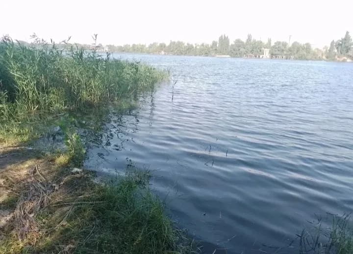 Дача, Власівка: вода за хвилину, річка, цегляний сарай - фото 1