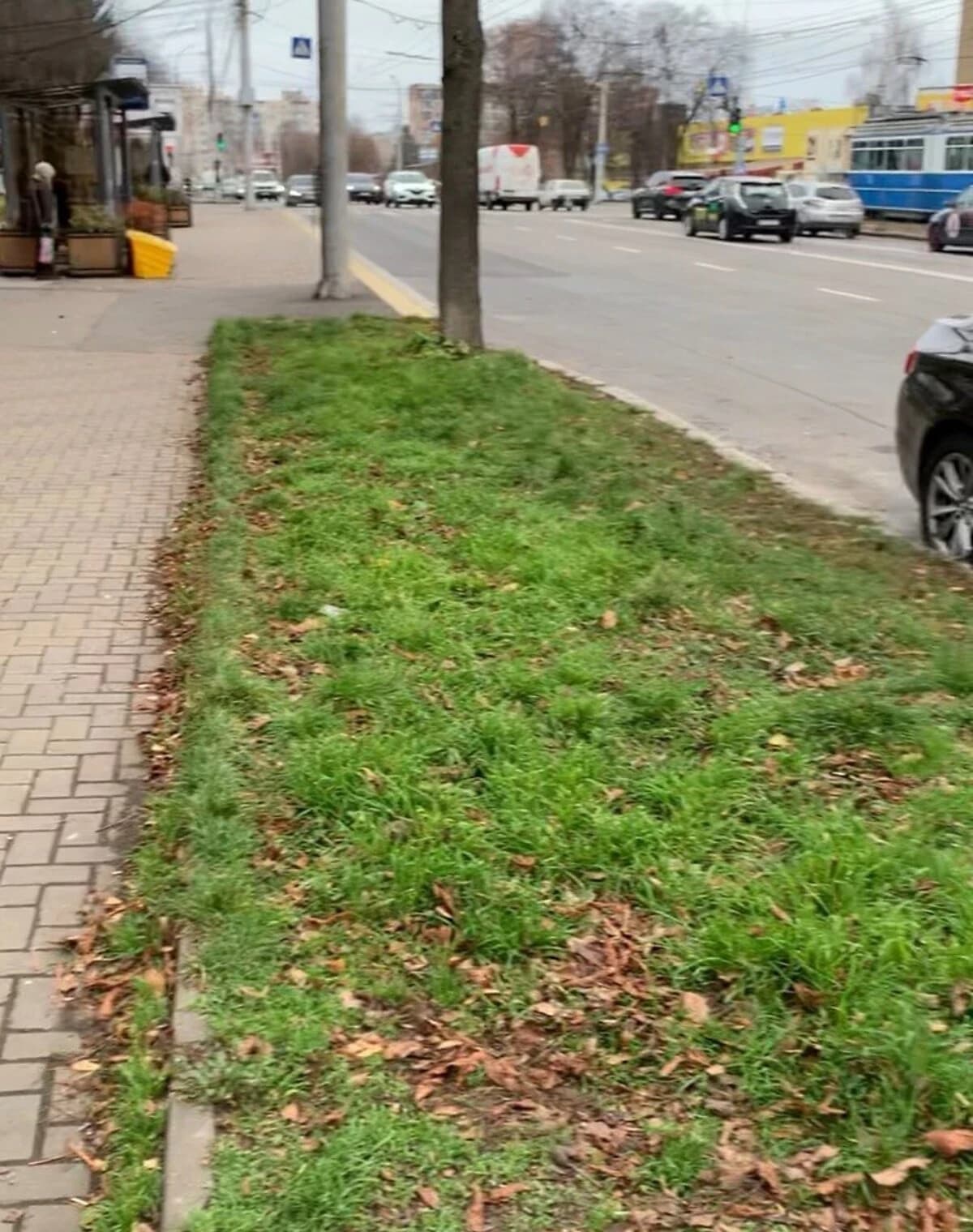 Приміщення, Вишенька: фасадне, відкрита стоянка, оренда частинами - фото 3