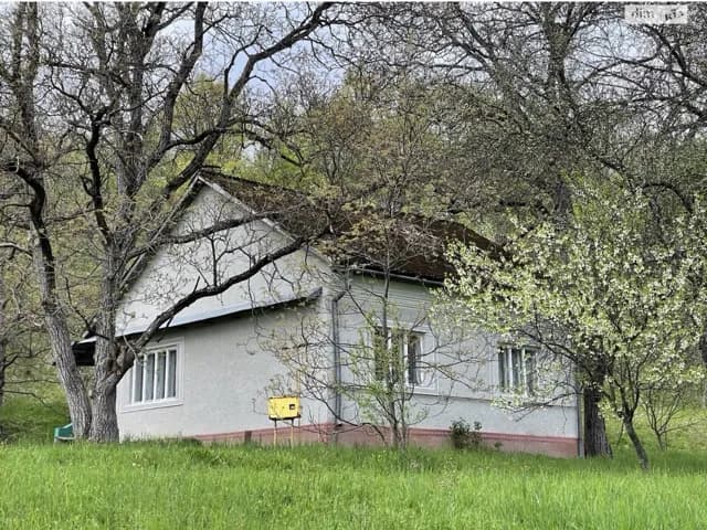 Частина будинку, Бедевля: 60 соток, літня кухня і сад