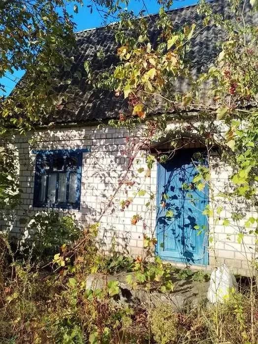 Дача, Світловодськ: 5 соток, ліс і річка поруч - фото 4